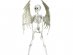 Skeleton with wings 46cm