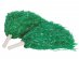 Green cheerleader pom pom