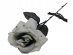 Artificial rose on grey color for a Halloween party
