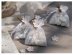 White color organza bags with gold metallic Thank You print