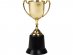 Golden cup 22cm