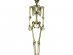Gold skeleton 90cm