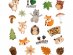 Forest animals temporary tattoos 20pcs